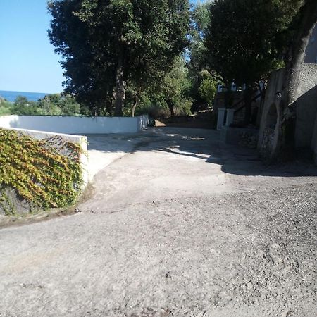 Cap Corse Une Villa Dans Un Nid De Verdure San-Martino-di-Lota Екстер'єр фото